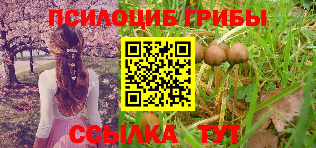 Галлюциногенные грибы Psilocybine cubensis  Вход с VPN  Первоуральск  Галлюциногенные грибы Psilocybine cubensis 